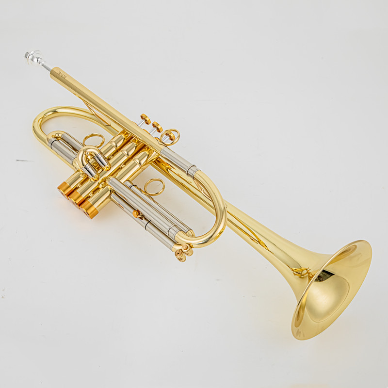 Trompete Vincent Bach Bb B pla - Trombone Mouthpiece avaliação e preço